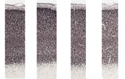 Density image thumbnail for area OPt