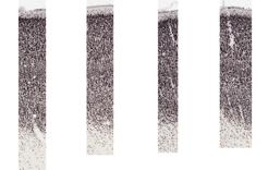 Density image thumbnail for area PEC